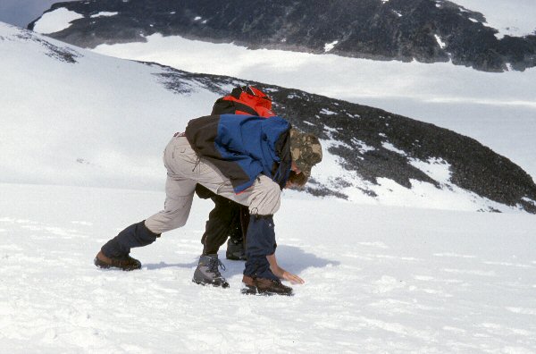 Yvonne en Michiel zijn verwikkeld in een sneeuwgevecht.