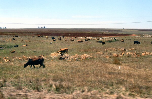Aggriculture along the way.