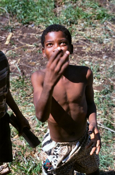 A boy throws dead wood on the truck.